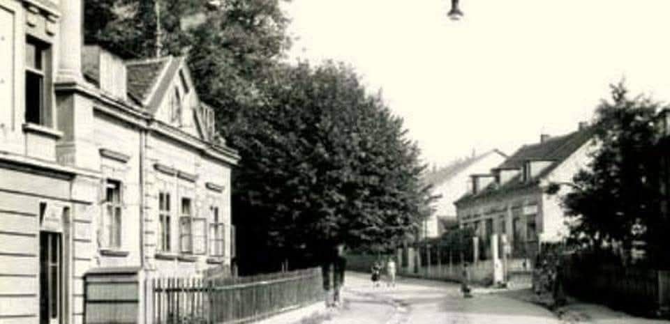 Nad lipom 1956. godine